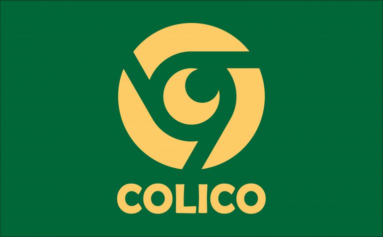 Công ty Cổ phần Tư vấn Quản lý và Giám sát COLICO